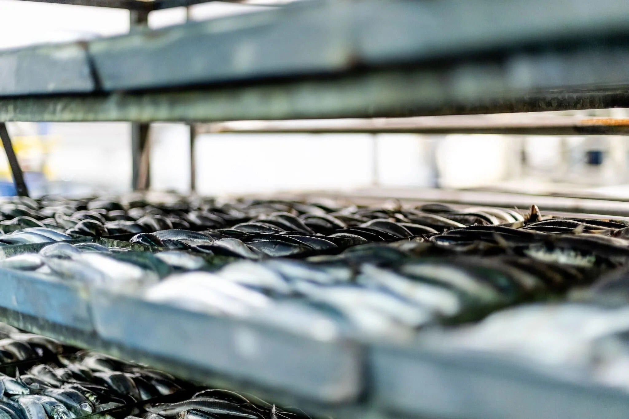 Shop all