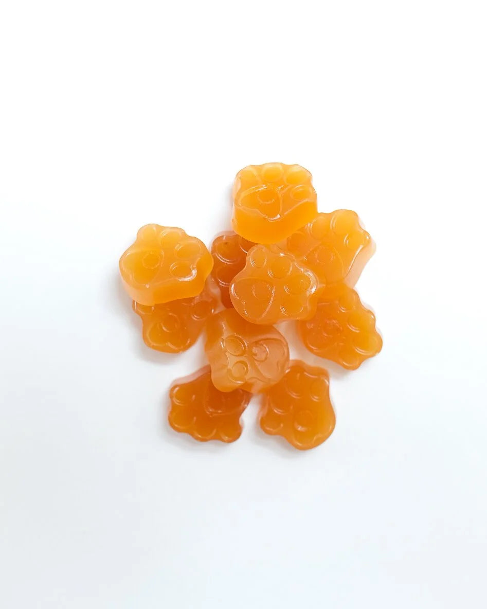 Beef Bone Broth Pet Gummies