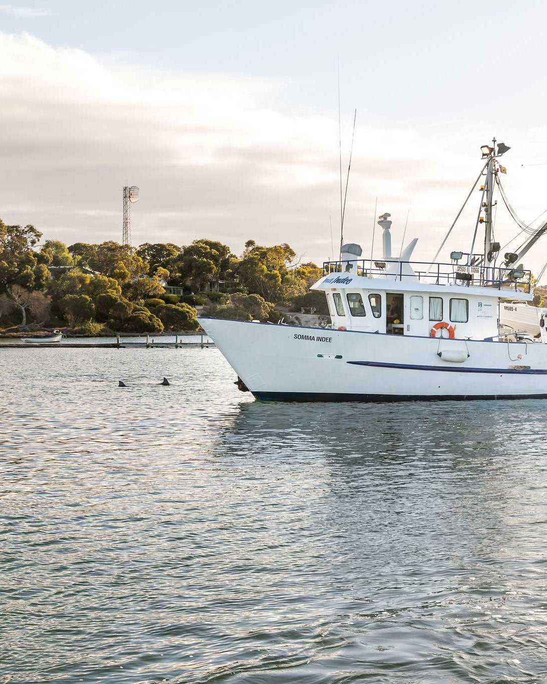 White fishing boat on calm water with trees in the background