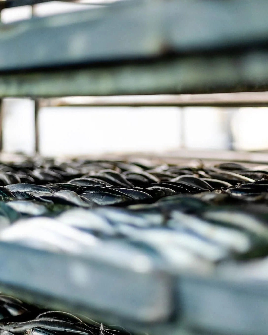 Close-up of metal shelving units in a warehouse setting